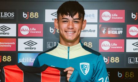 与学术潜力 与学术潜力