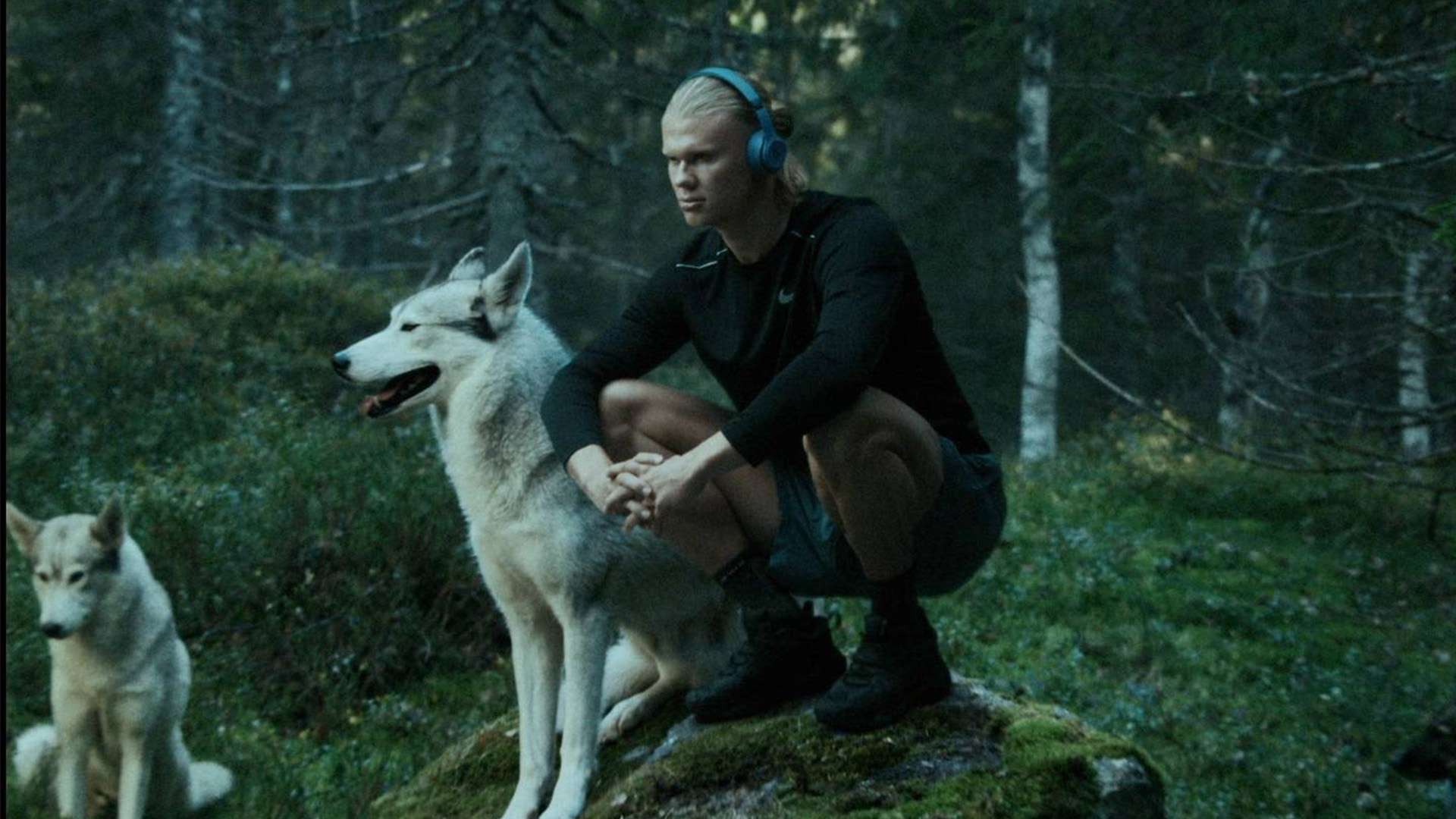 及市场营销 及市场营销