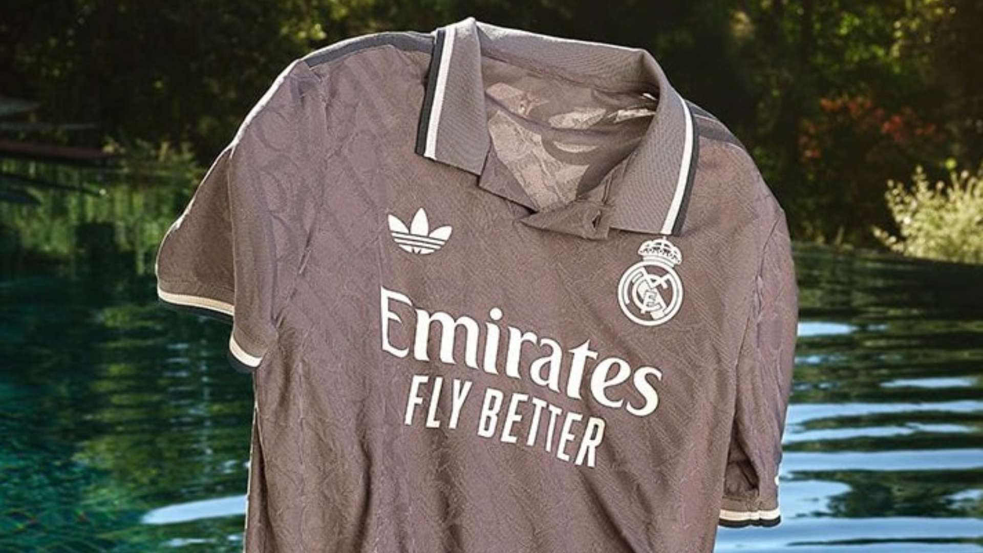 不仅体现了 不仅体现了